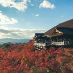 紅葉に包まれた山腹に張り出す清水寺の舞台（京都市）