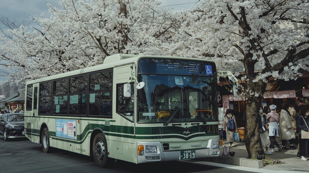 貸切バス（観光バス）の車両