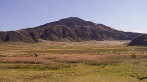 草原の向こうにそびえる阿蘇の山並み。手前のススキと草地を、点在する人影が歩いている