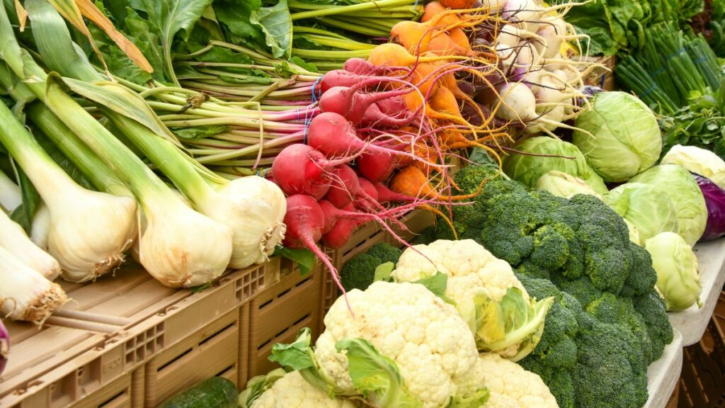 木箱に積まれた収穫野菜。手前にカリフラワーとブロッコリー、奥にラディッシュや玉ねぎが並ぶ