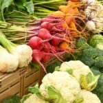 木箱に積まれた収穫野菜。手前にカリフラワーとブロッコリー、奥にラディッシュや玉ねぎが並ぶ